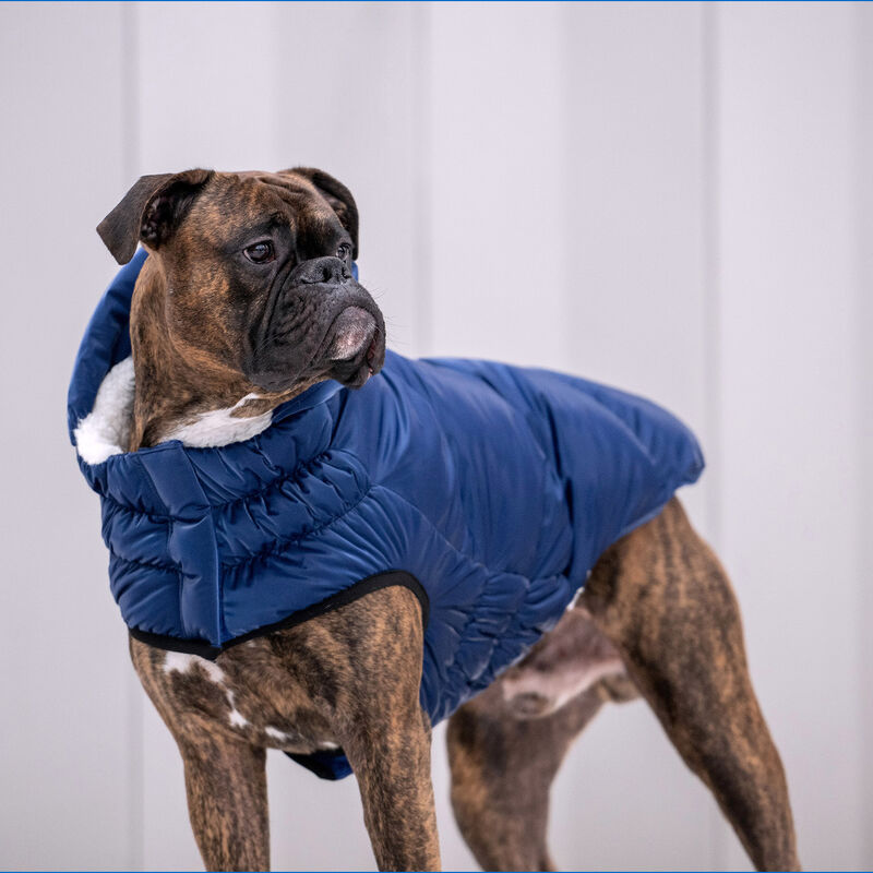 GF Pet, Lunar Glow Parka - Blue image number null