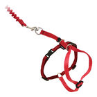 PetSafe, Come With Me Kitty Cat Harness & Bungee Leash - Red image number null