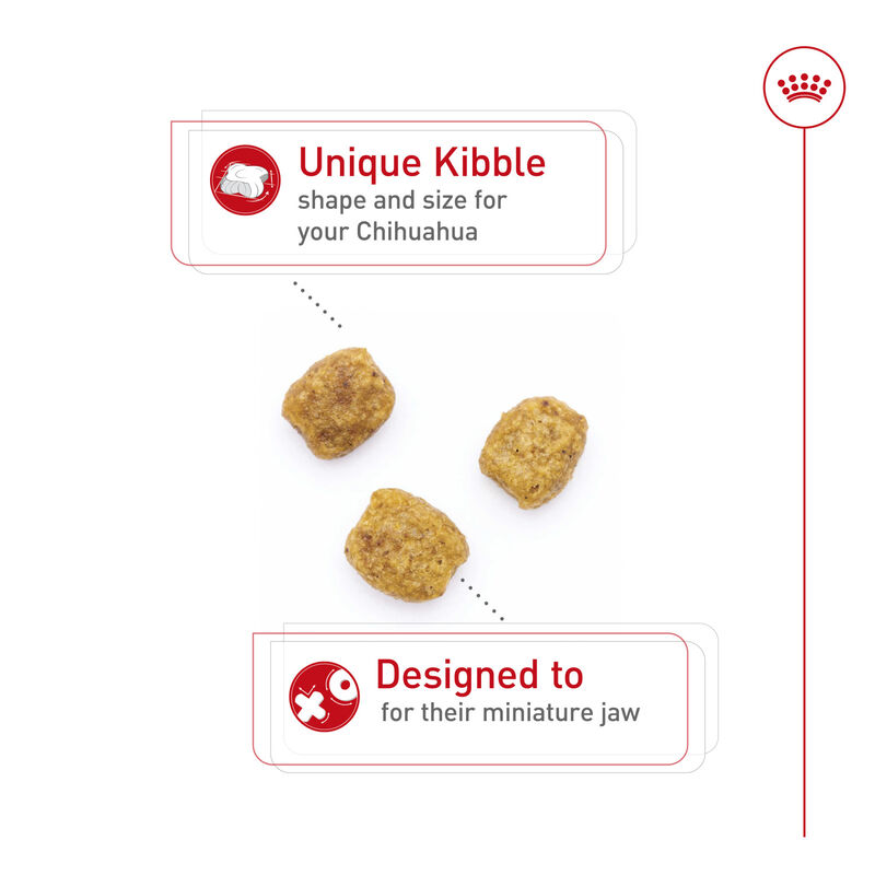 Royal Canin, Breed Health Nutrition Chihuahua Adult - Dry Dog Food image number null