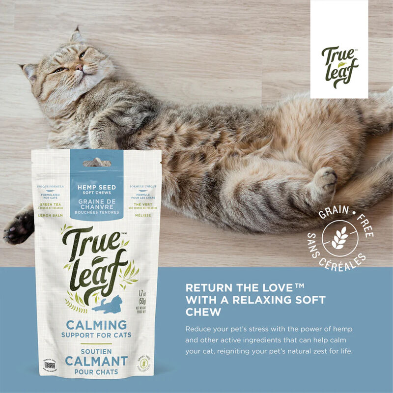 True Leaf, Calming Support Chews for Cats image number null