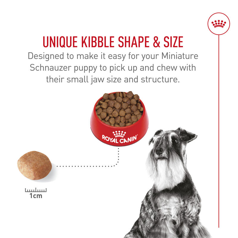 Royal Canin, Breed Health Nutrition Miniature Schnauzer Adult - Dry Dog Food image number null