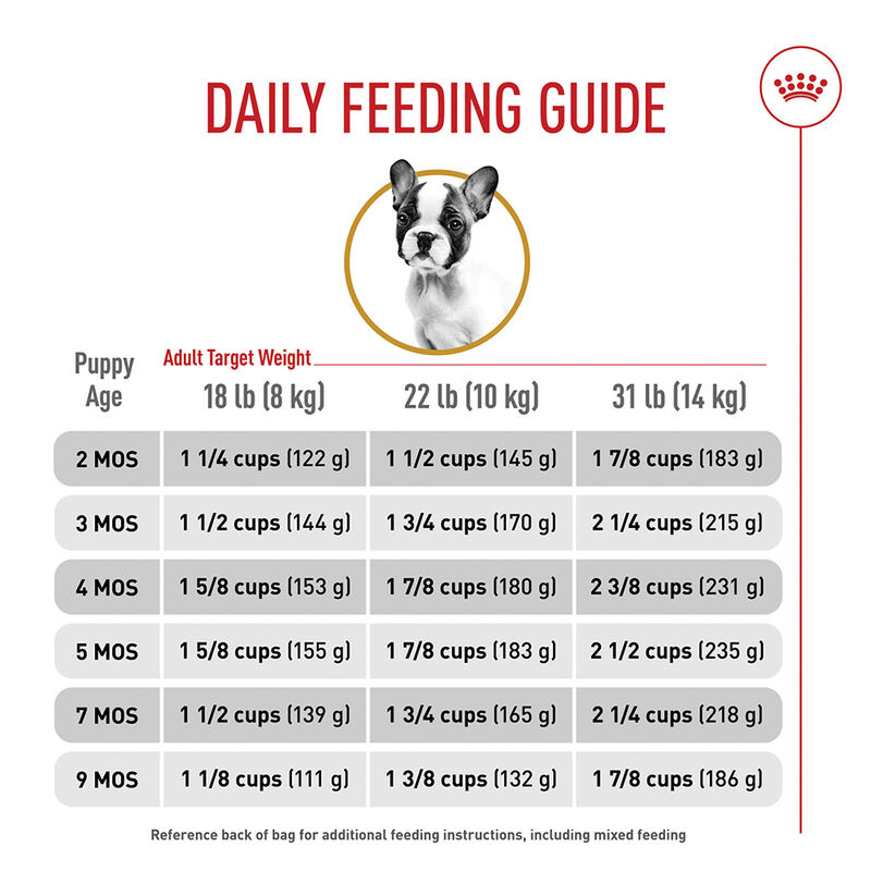 Royal Canin, Breed Health Nutrition French Bulldog Puppy 3LBS - Dry Dog Food image number null