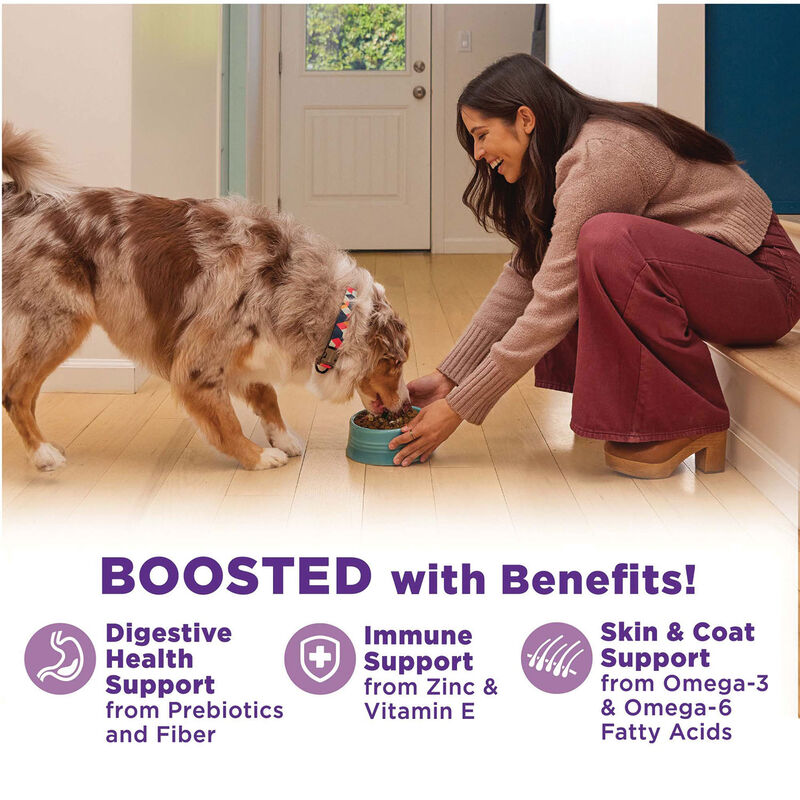 Wellness, Bowl Boosters - Hearty Toppers - Chicken & Pumpkin in Bone Broth - 156 g - Wet Dog Food image number null