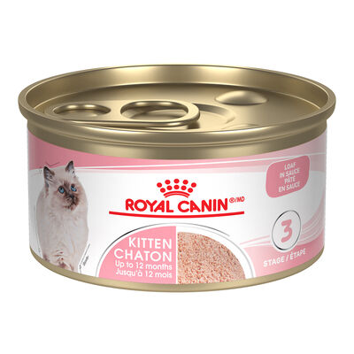 Royal Canin, Feline Health Nutrition Kitten Loaf In Sauce - Wet Cat Food