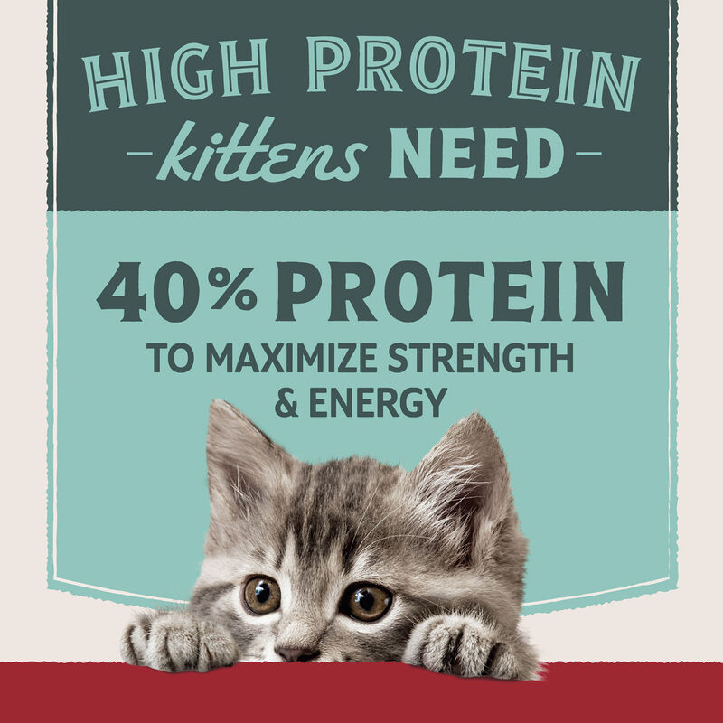 Natural Balance, Ultra Protein - Chicken & Chicken Meal Recipe - Dry Kitten Food image number null