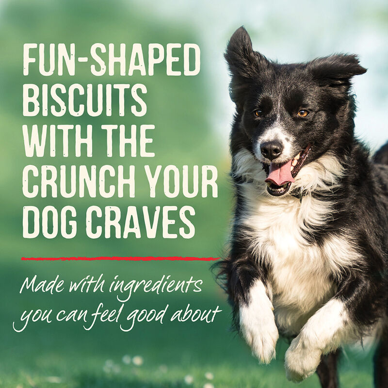 Merrick, Oven Baked - Pumpkin Patch - 312 g - Dog Biscuit image number null