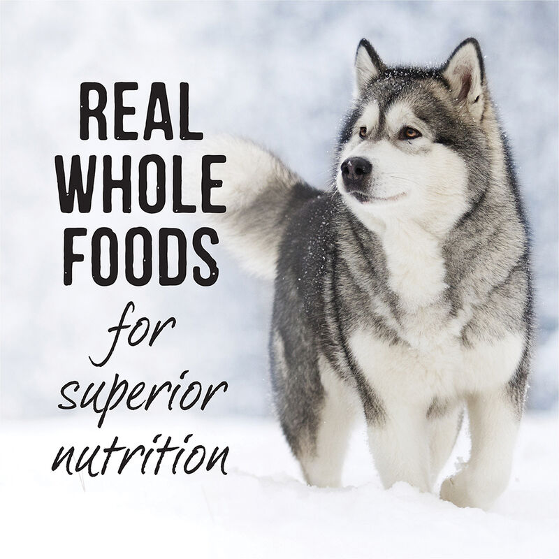 Merrick, Backcountry 96% Real Chicken Recipe - 12.7 oz - Wet Dog Food image number null