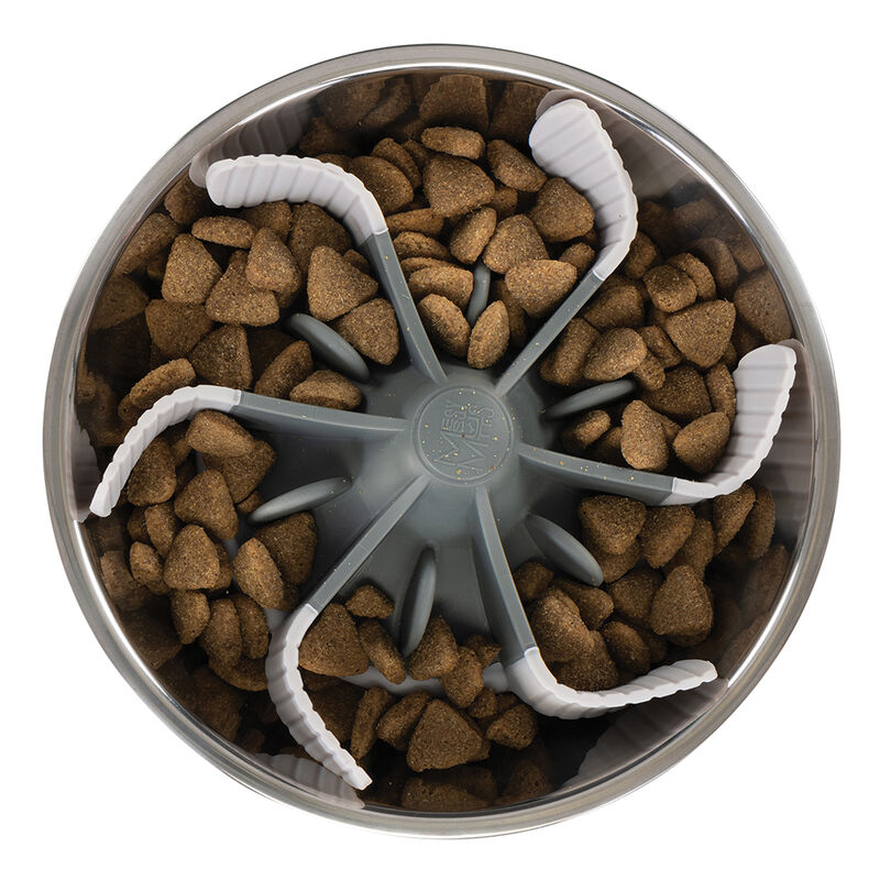 Messy Mutts, Slow Feeder Universal Bowl Insert with Suction image number null