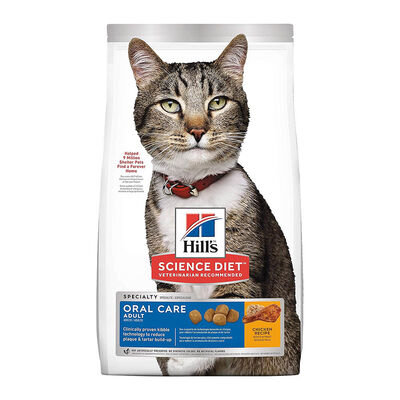 Science Diet, Adult Oral Care Chicken Recipe Dry Cat Food for dental health - Dry Cat Food