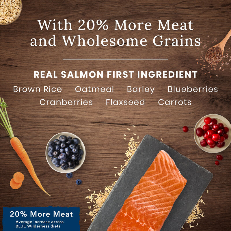 Blue Buffalo, Wilderness with More Meat & Wholesome Grains Adult Dog - Salmon - Dry Dog Food image number null