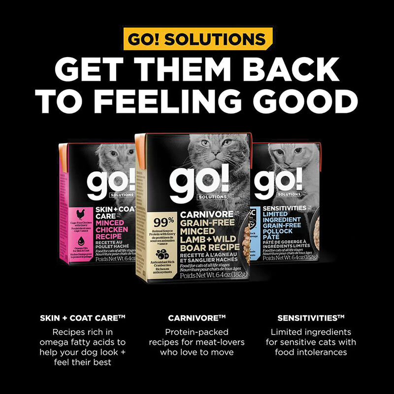 GO! SOLUTIONS, CARNIVORE Grain Free Minced Lamb + Wild Boar Recipe for cats - Wet Cat Food image number null