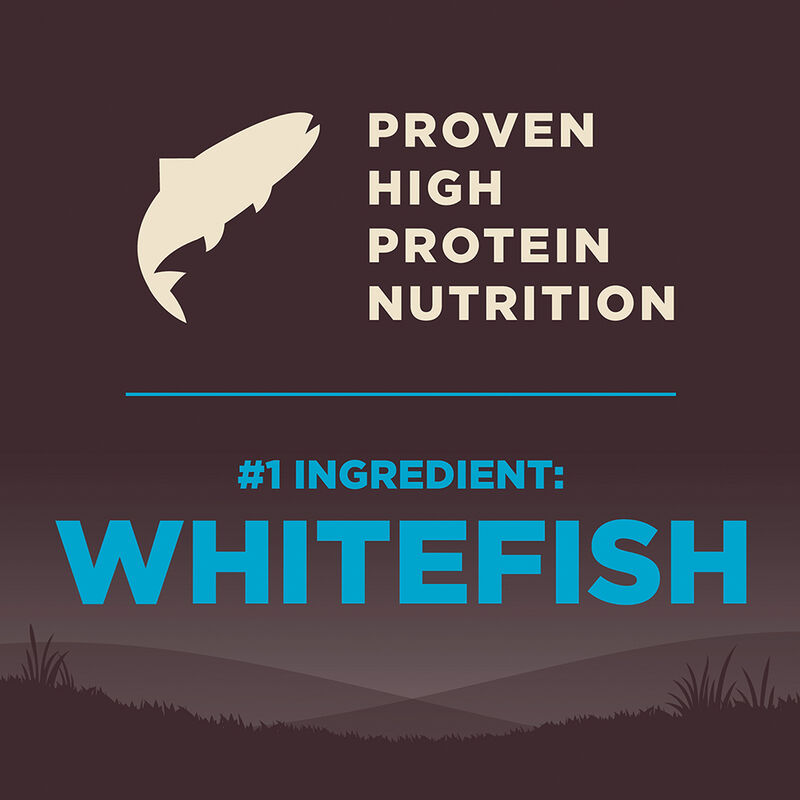 Wellness, Core, Grain Free Ocean - Dry Dog Food image number null