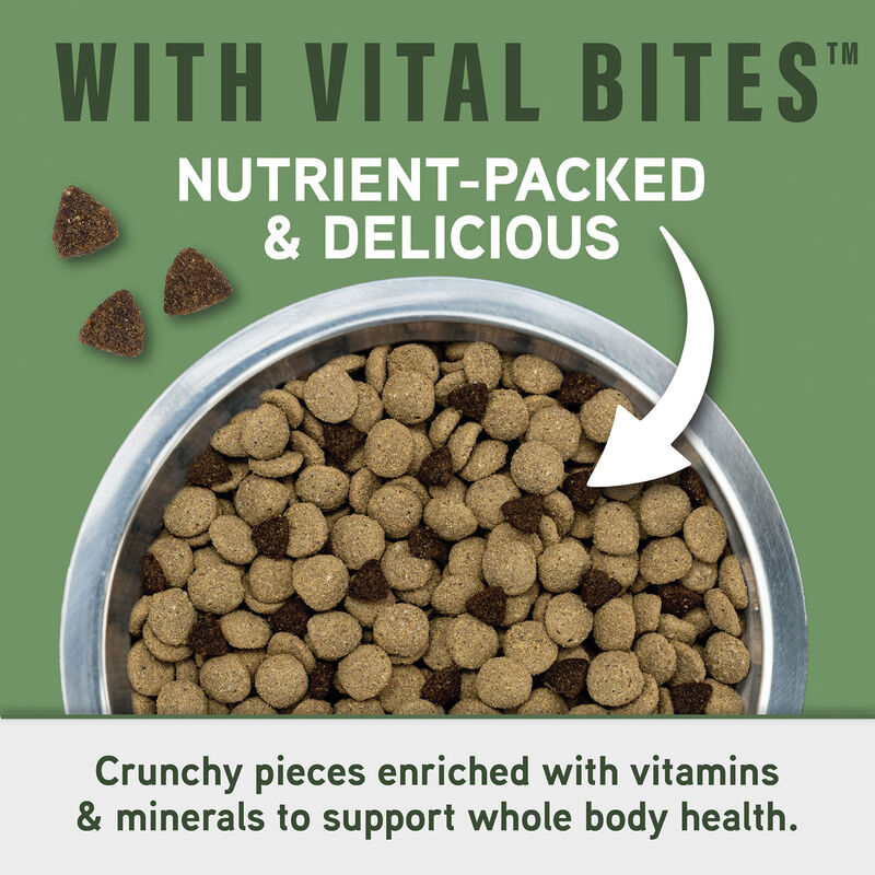 Natural Balance, Specialized Nutrition - Digestive & Immune Health Lamb & Oatmeal Formula - Dry Dog image number null