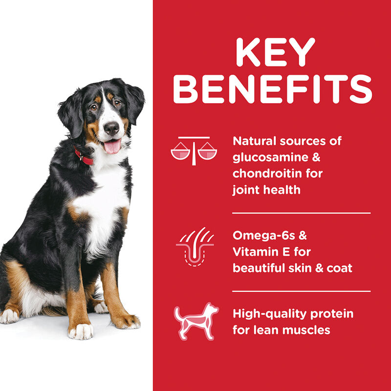 Science Diet, Adult Dog Large Breed Lamb & Brown Rice image number null