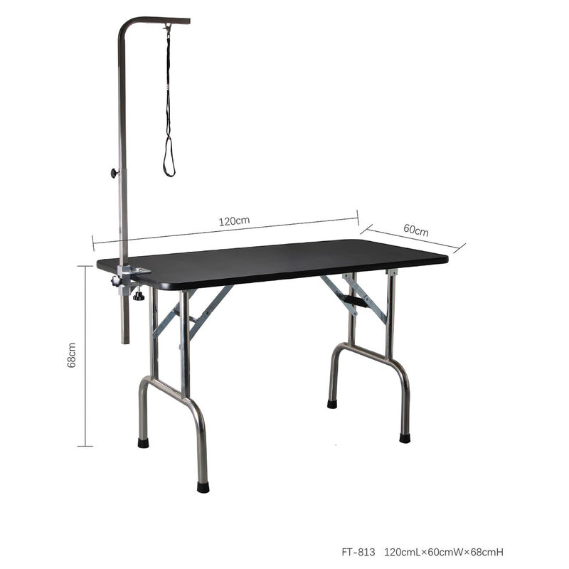 Aeolus, Stainless Steel Grooming Table image number null