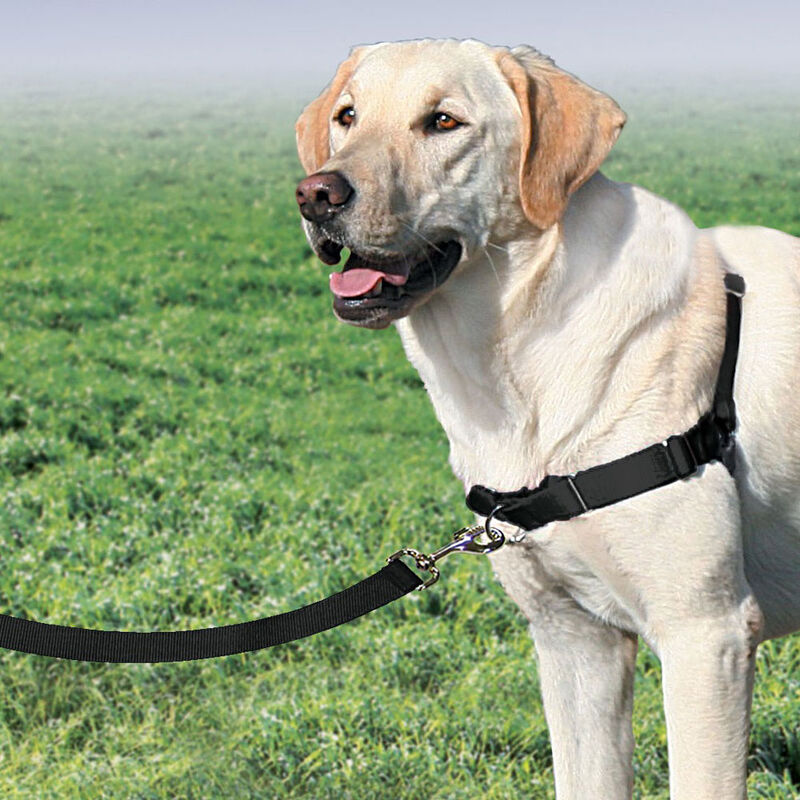 PetSafe, Harness - Black image number null