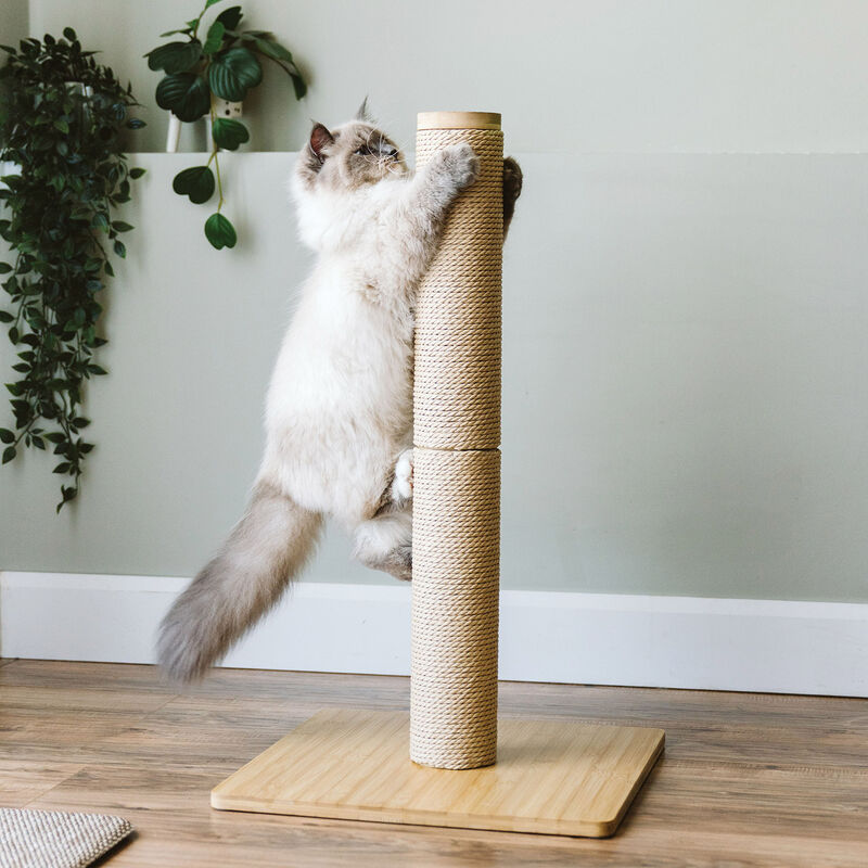 BeOneBreed, Modular Paper Rope Scratcher image number null