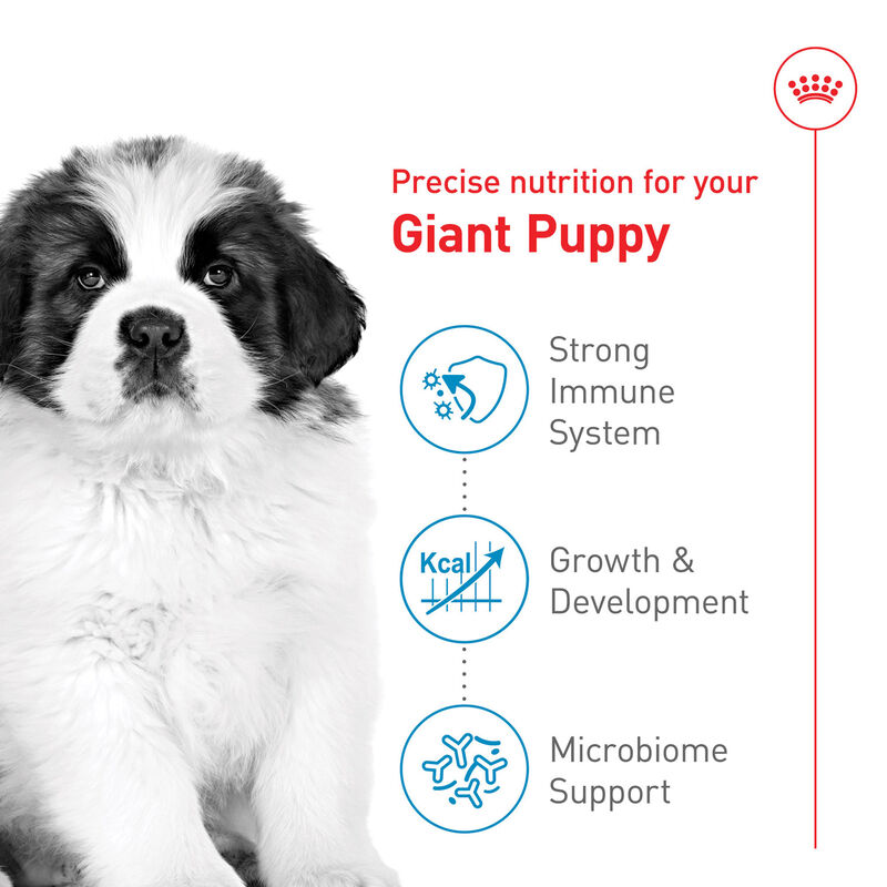 Royal Canin, Size Health Nutrition Giant Puppy - Dry Dog Food image number null