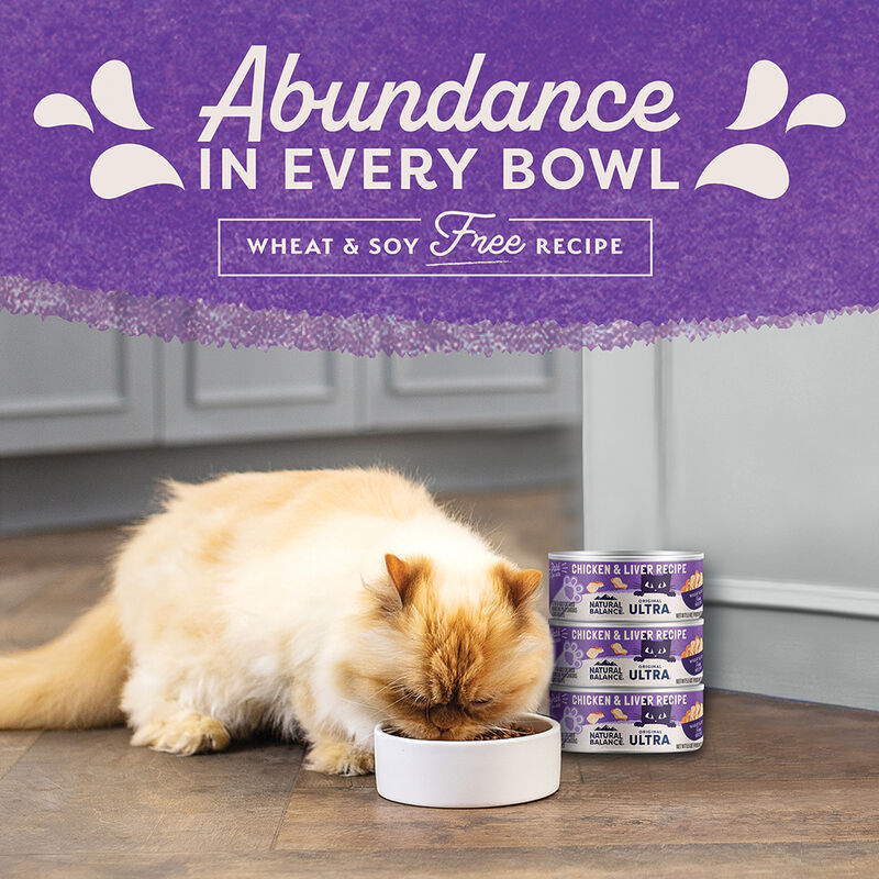 Natural Balance, Cat Can Chicken & Liver Pate  - 5.5 oz - Wet Cat Food image number null