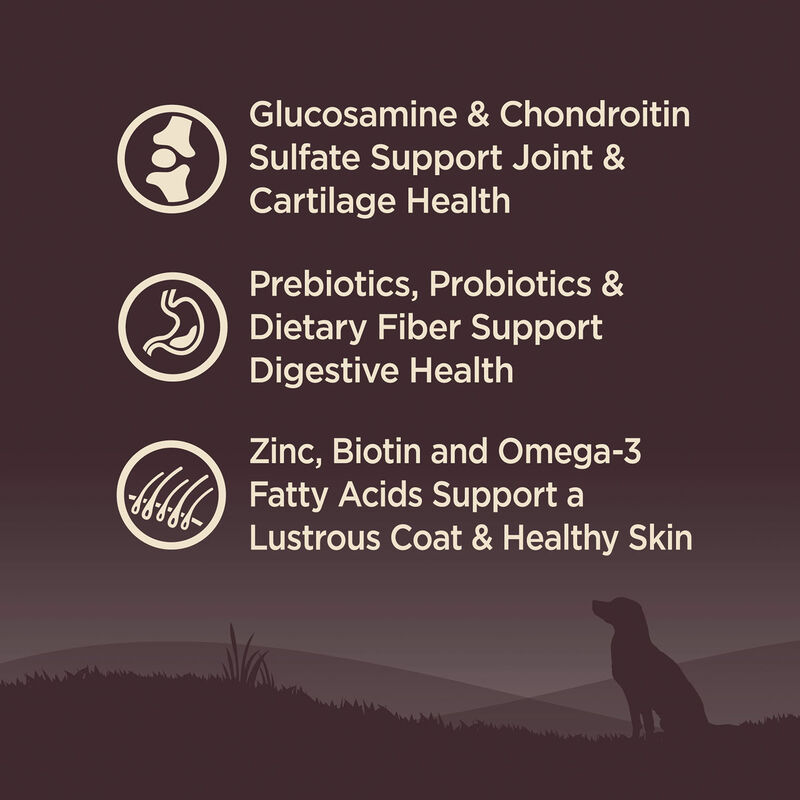 Wellness, Core, Grain Free Large Breed - 26 lb - Dry Dog Food image number null