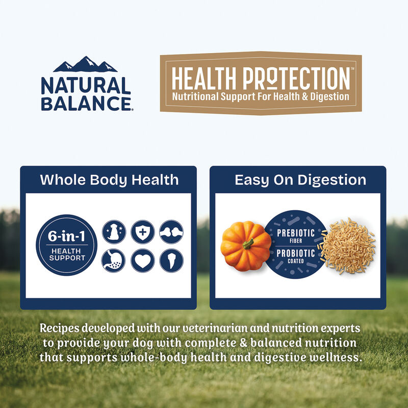 Natural Balance, Health Protection - Real Lamb, Brown Rice & Pumpkin Recipe - Dry Dog Food image number null