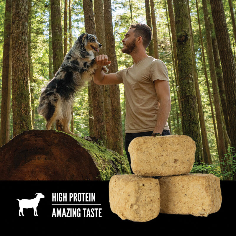 Orijen, Adult Freeze Dried Dog Treat - Tundra - Freeze Dried Dog Treat image number null