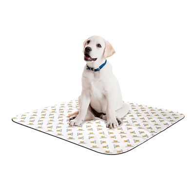 Pooch Pad, PoochPad Large - Beige - 30x32"