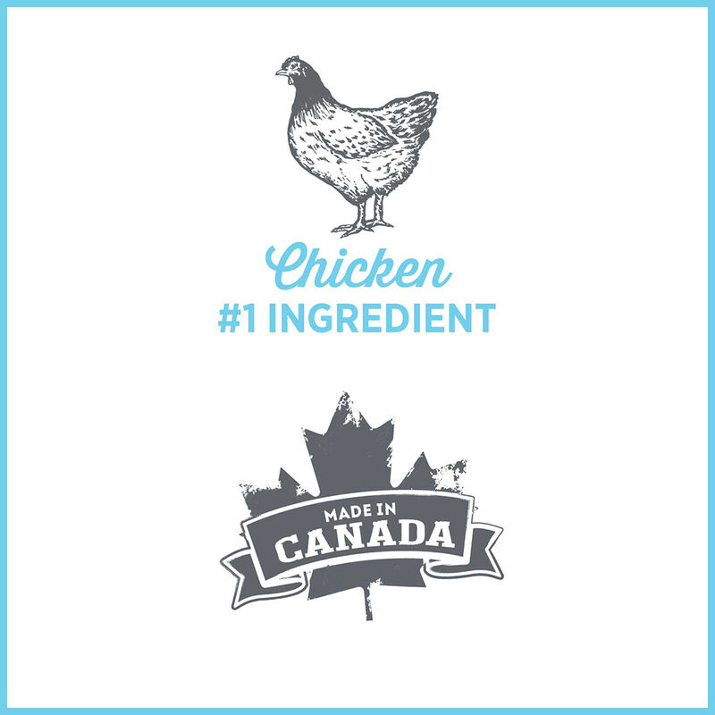 Nutrience, Care - Calm & Comfort - Chicken - 369 g - Wet Dog Food image number null