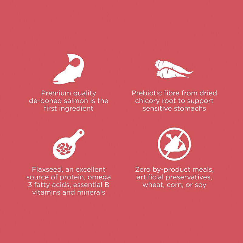 GO! SOLUTIONS, Feline Adult - Sensitivities Limited Ingredient Grain Free - Salmon - Dry Cat Food image number null