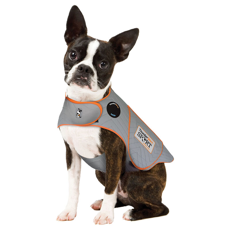 ThunderWorks, ThunderShirt for Dogs - Heather Grey image number null