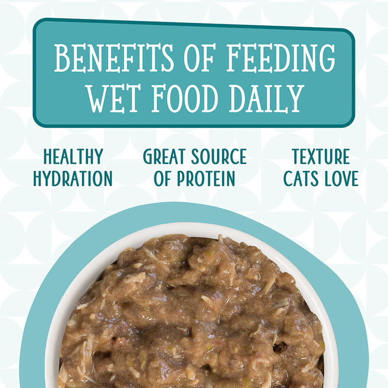 Weruva, Can Feline-Funk in the Trunk-Chicken in Pumpkin Sauce-170g - Minced - Wet Cat Food image number null