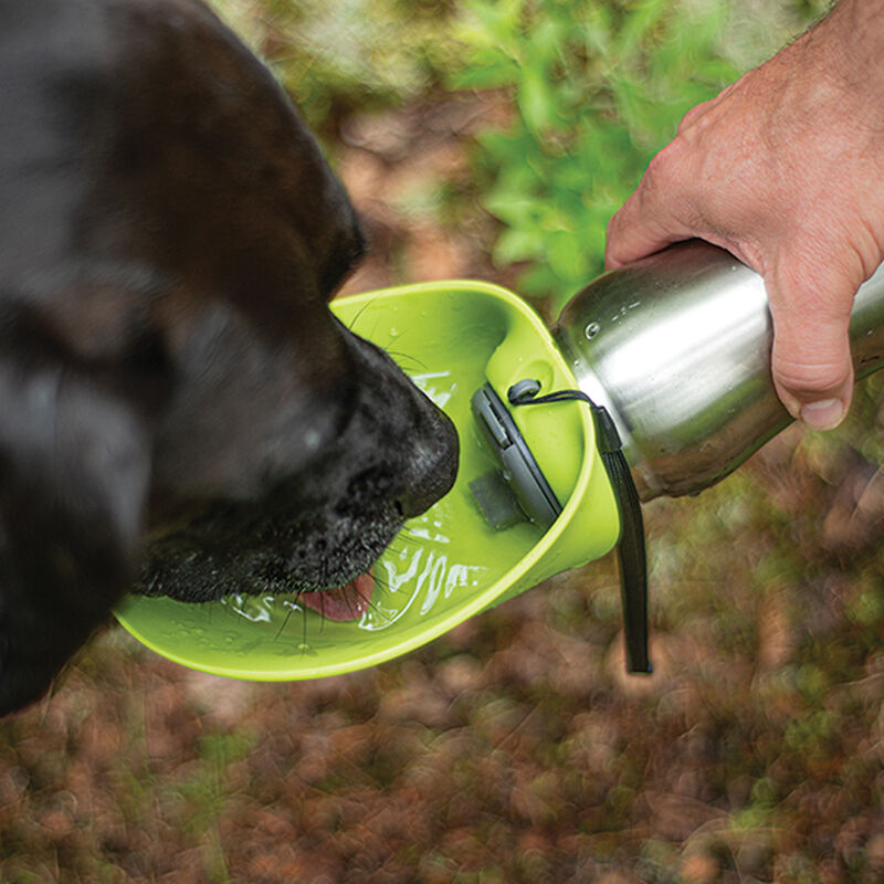 Messy Mutts, Stainless Travel Water Bottle with Flip Up Bowl 700ml - Green image number null