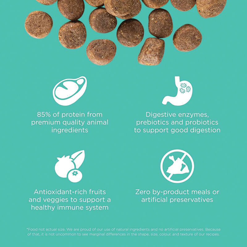 GO! SOLUTIONS CARNIVORE Grain Free Chicken, Turkey + Duck Adult Recipe for dogs image number null