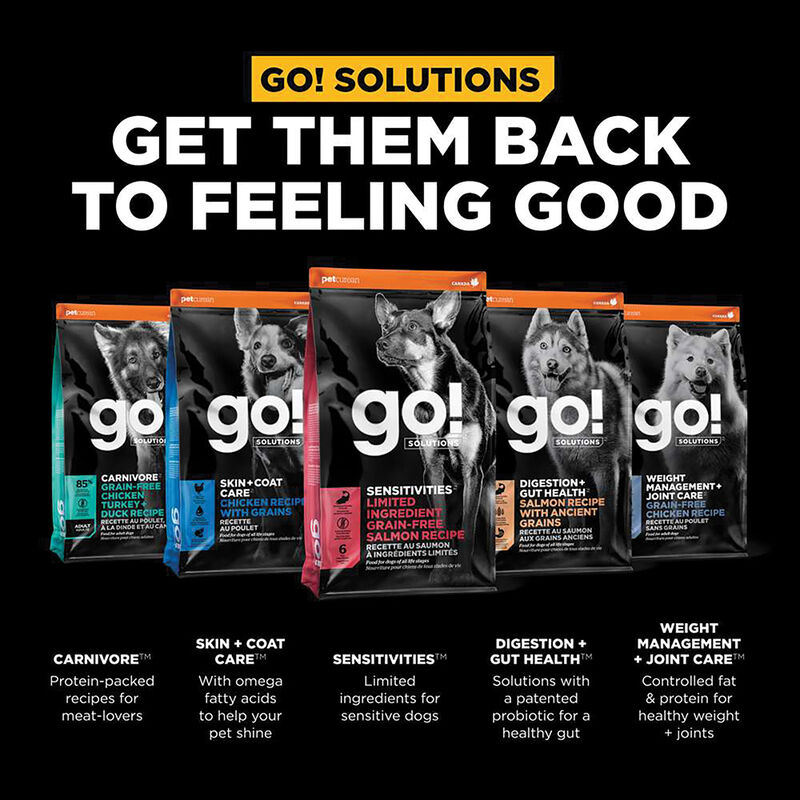 GO! SOLUTIONS, SENSITIVITIES Limited Ingredient Grain Free Salmon Recipe for dogs - Dry Dog Food image number null