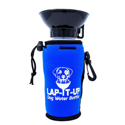 Lap It Up, Water Bottle - Blue - 20 oz