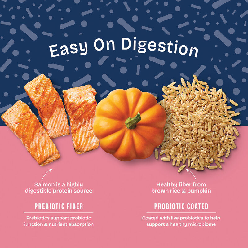 Natural Balance, Health Protection - Real Salmon, Brown Rice & Pumpkin Recipe - Dry Dog Food image number null