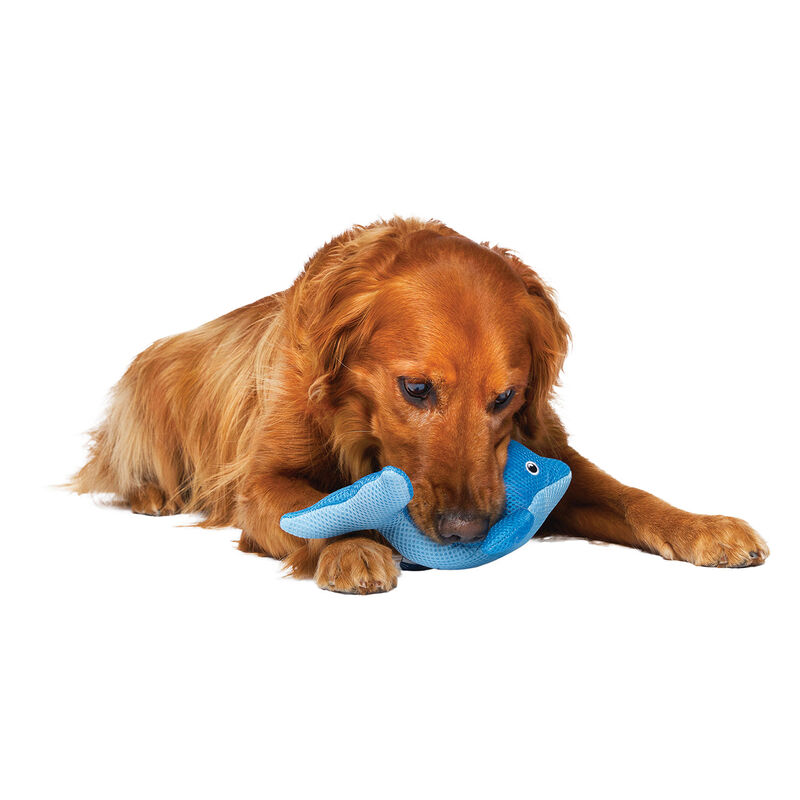 Canada Pooch, Freeze and Chill Cooling Pal Toys Blue Dolphin image number null