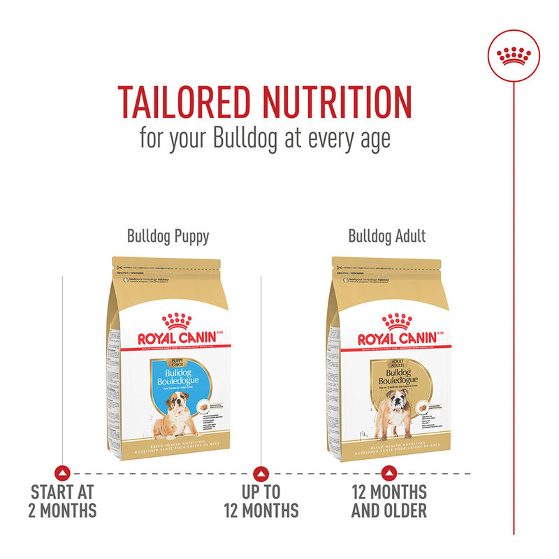 Royal Canin, Breed Health Nutrition Bulldog Puppy - Dry Dog Food image number null