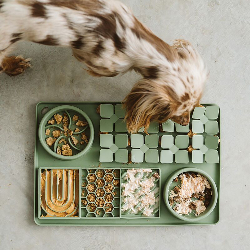 BeOneBreed, Multi Textured Slow Feeder - Green image number null