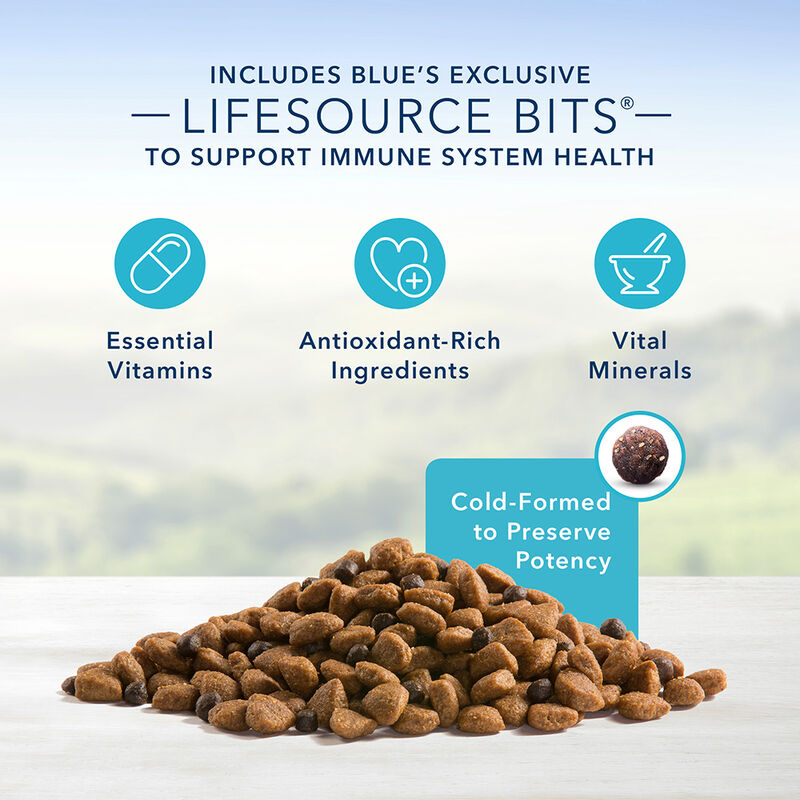 Blue Buffalo, Adult - Life Protection - Beef - Dry Dog Food image number null