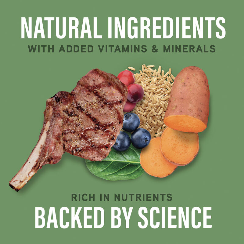Natural Balance, Specialized Nutrition - Digestive & Immune Health Lamb & Brown Rice Formula - Wet D image number null