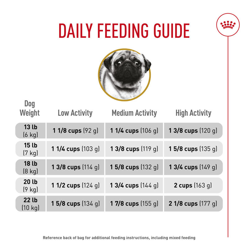 Royal Canin, Dry Dog Food, Pug - Dry Dog Food image number null
