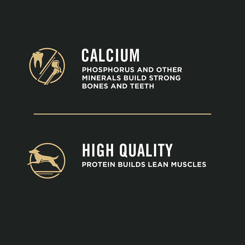 Purina Pro Plan Development Under One Year Puppy, Shredded Blend, Chicken & Rice Dry Dog Food Formul image number null