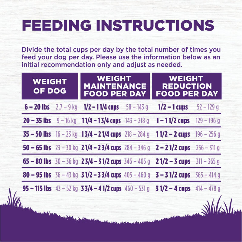 Wellness, Complete Health, Healthy Weight Deboned Chicken & Peas - Dry Dog Food image number null