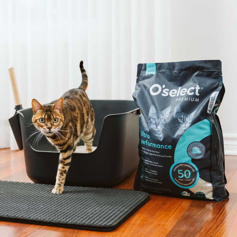 Ultra Performance Clumping Clay Litter - Fresh Breeze - 12 kg image number null