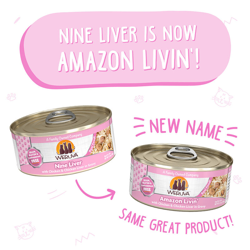 Weruva, Can Feline - Amazon Livin' - 156 g - Shreds - Wet Cat Food image number null