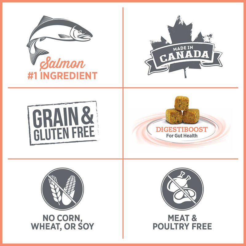 Nutrience, Care - Sensitive Skin & Stomach - Dry Cat Food image number null