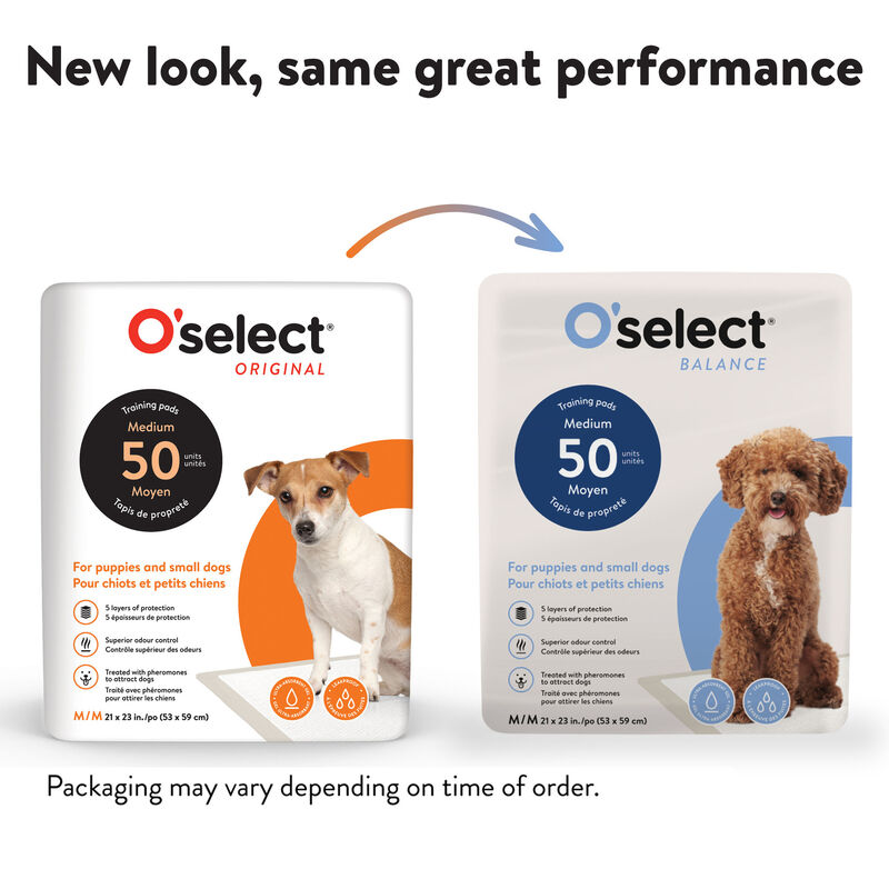 O'select, Training Pads Small Dogs and Puppies image number null