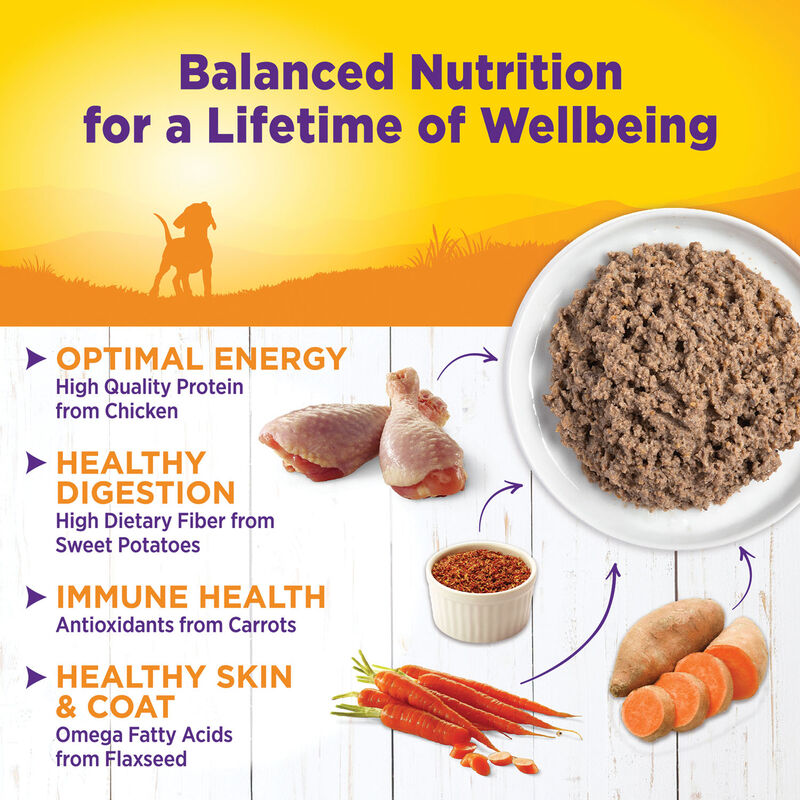 Wellness, Canned Dog Food, Just for Puppy - Wet Dog Food image number null