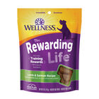 Wellness, Wellbites, Lamb & Salmon Soft Dog Treats - 6 oz - Dog Treat image number null
